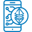 Crypto Currency Web